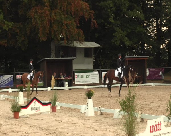 Reitturnier Meinerzhagen 2016
