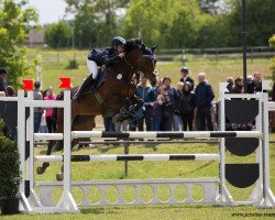 broodmare Lordissy (German Sport Horse, 2008, from Lordanos)