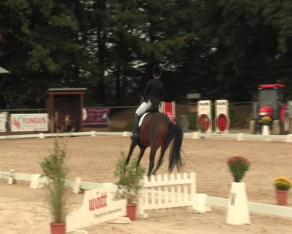 Reitturnier Meinerzhagen 2016