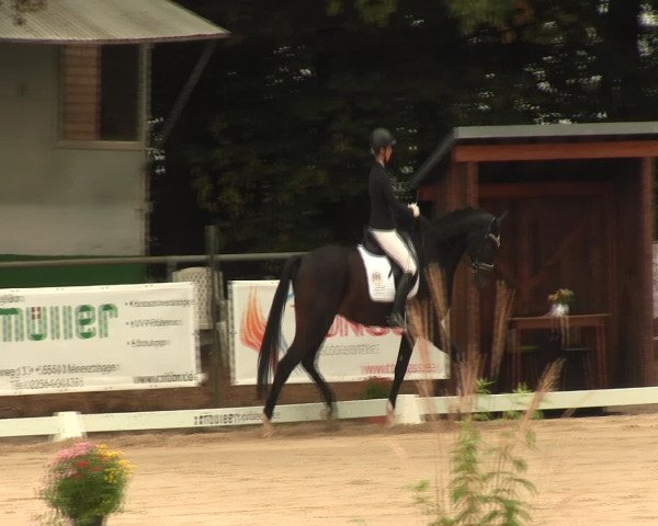 Reitturnier Meinerzhagen 2016