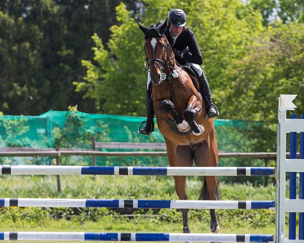 jumper Lordana 56 (Bavarian, 2013, from Lord Z)