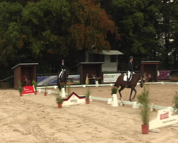 Reitturnier Meinerzhagen 2016