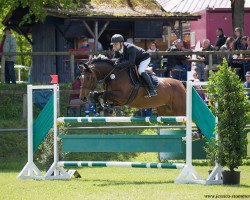 jumper La Cross 10 (Holsteiner, 2009, from Landos)