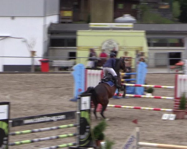 Reitturnier Siegen 2016