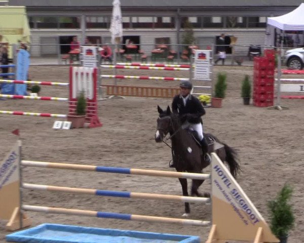 Reitturnier Siegen 2016