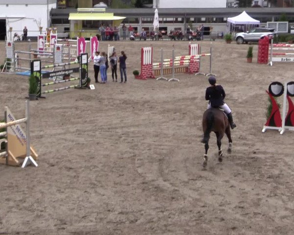 Reitturnier Siegen 2016
