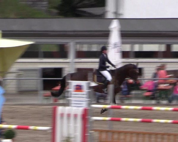 Reitturnier Siegen 2016