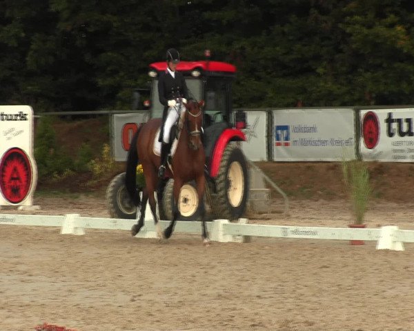 Reitturnier Meinerzhagen 2016