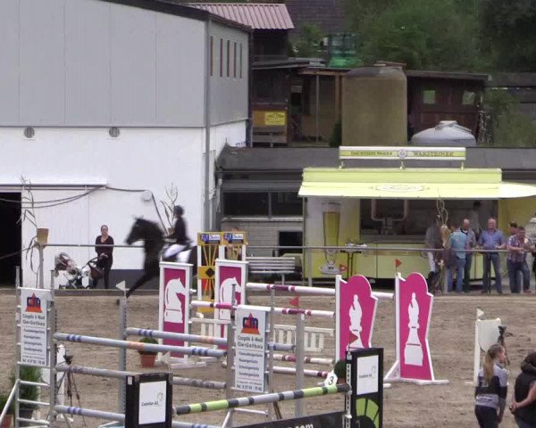 Reitturnier Siegen 2016