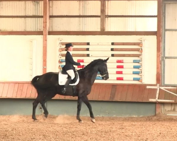 Reitturnier Meinerzhagen 2016
