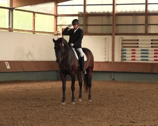 Reitturnier Meinerzhagen 2016