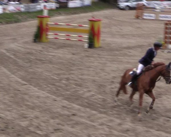 Reitturnier Siegen 2016