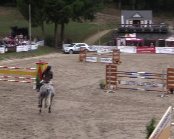 Reitturnier Siegen 2016