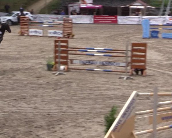 Reitturnier Siegen 2016