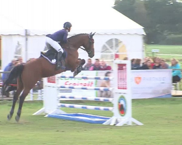 Reitturnier Großensee 2016