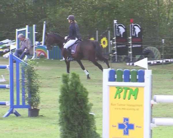 Reitturnier Großensee 2016