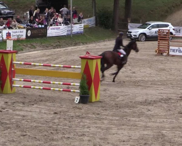Reitturnier Siegen 2016