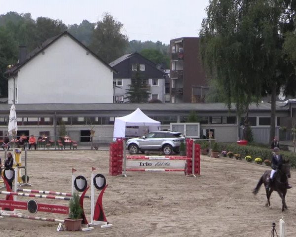 Reitturnier Siegen 2016