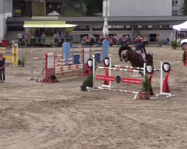 Reitturnier Siegen 2016