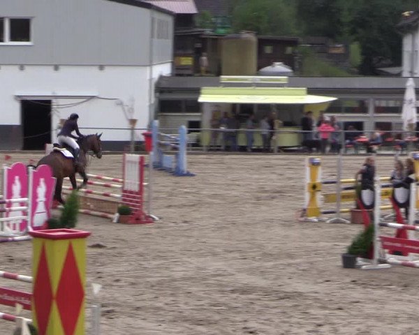 Reitturnier Siegen 2016