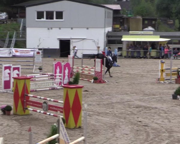 Reitturnier Siegen 2016
