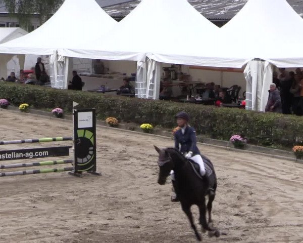 Reitturnier Siegen 2016