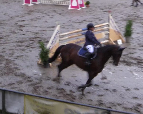 Reitturnier Siegen 2016