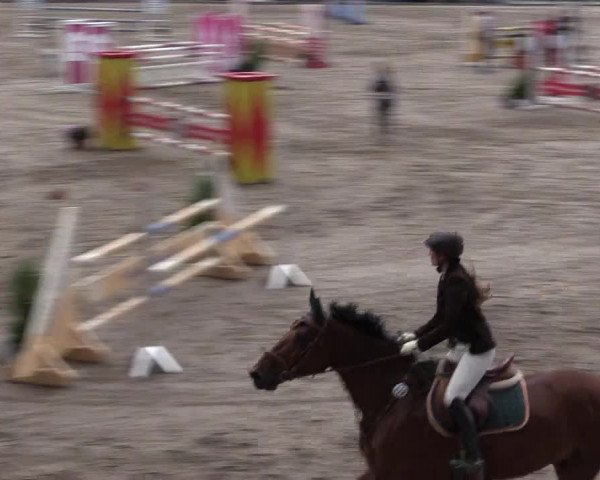 Reitturnier Siegen 2016