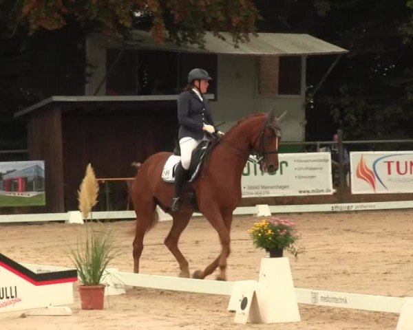 Reitturnier Meinerzhagen 2016