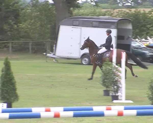 Reitturnier Großensee 2016