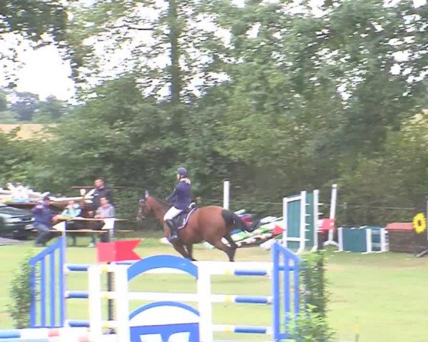 Reitturnier Großensee 2016