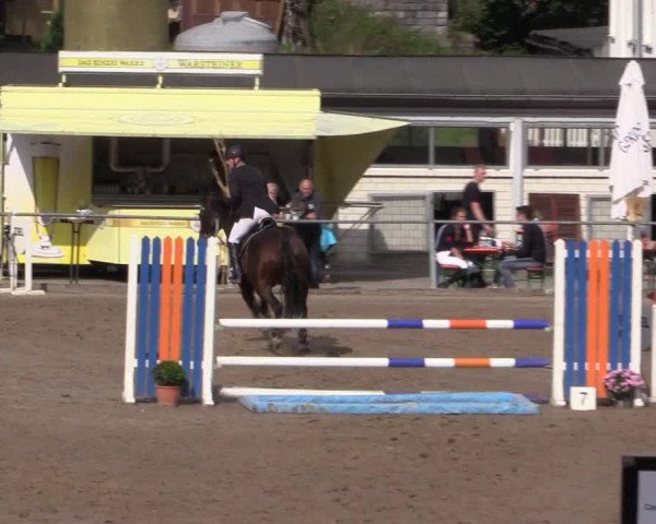 Reitturnier Siegen 2016