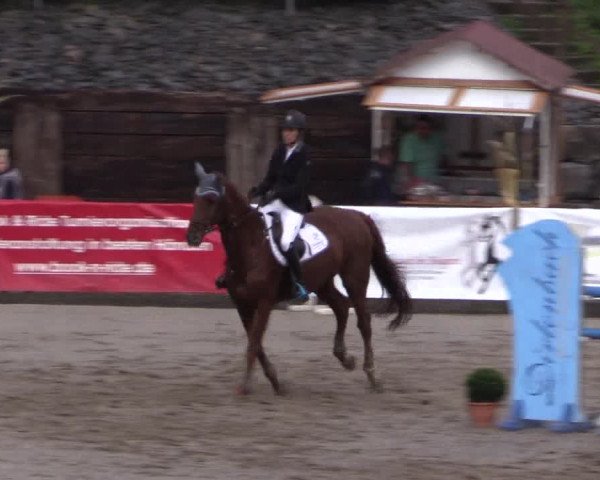 Reitturnier Siegen 2016