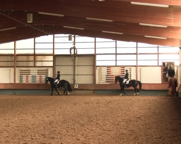 Reitturnier Meinerzhagen 2016