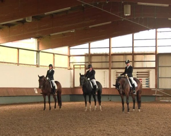 Reitturnier Meinerzhagen 2016