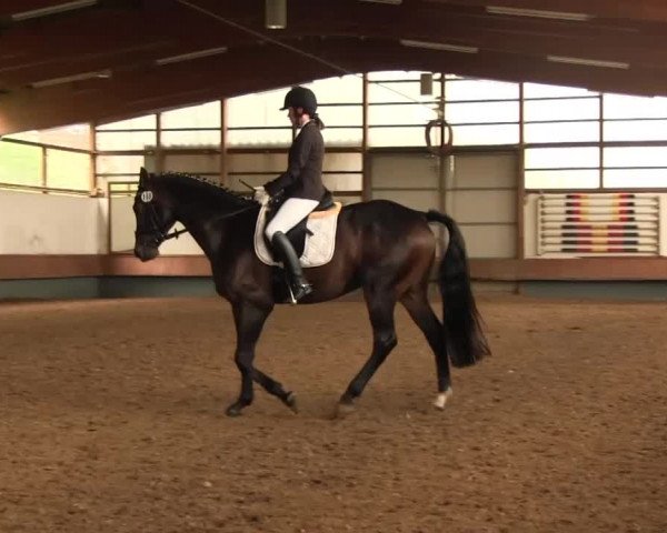 Reitturnier Meinerzhagen 2016