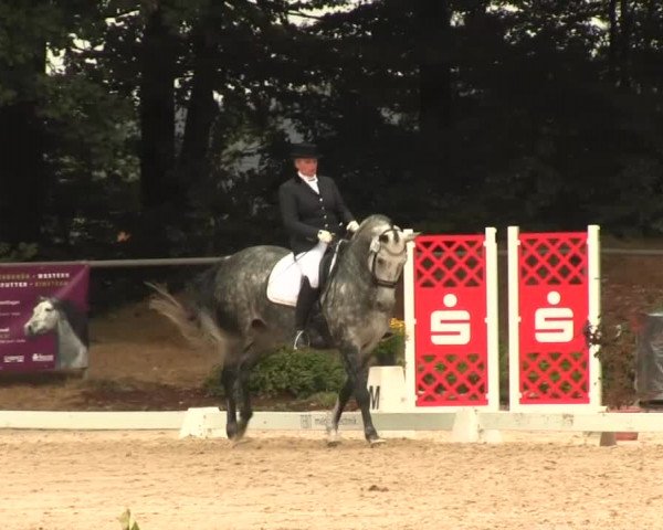 Reitturnier Meinerzhagen 2016