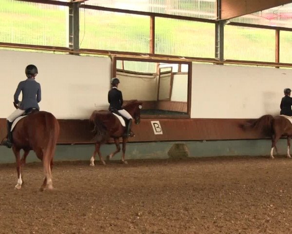 Reitturnier Meinerzhagen 2016