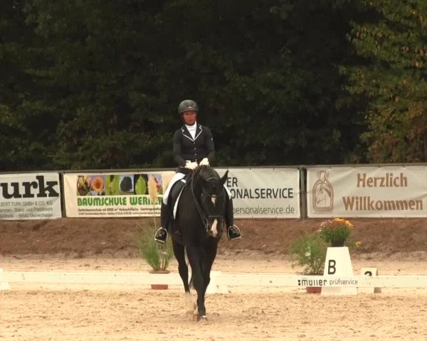 Reitturnier Meinerzhagen 2016