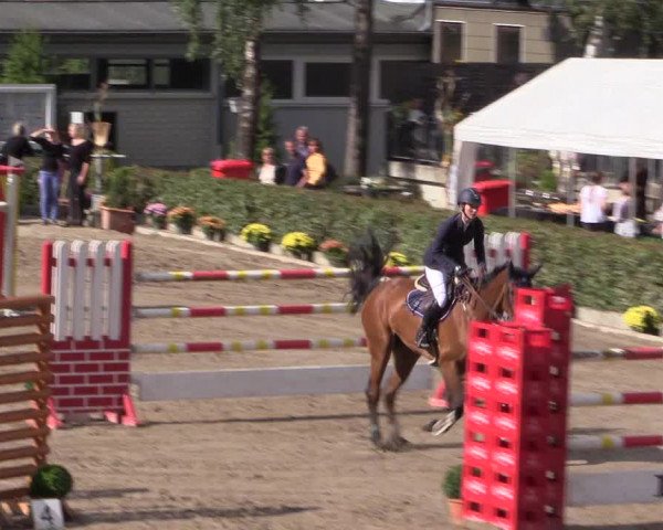 Reitturnier Siegen 2016