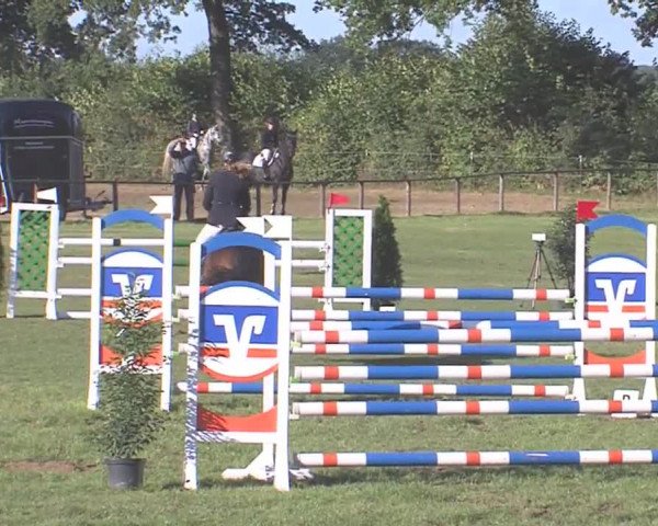 Reitturnier Großensee 2016
