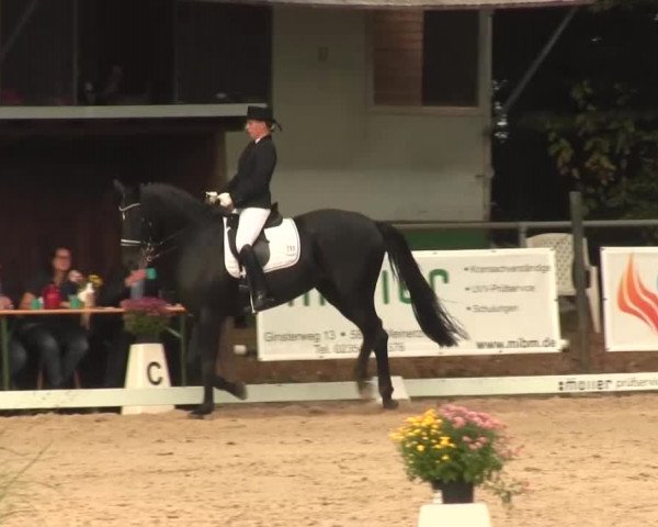 Reitturnier Meinerzhagen 2016