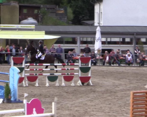 Reitturnier Siegen 2016