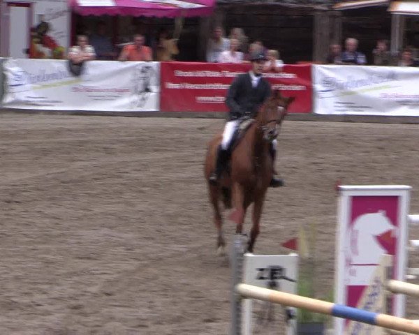 Reitturnier Siegen 2016