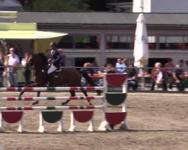 Reitturnier Siegen 2016