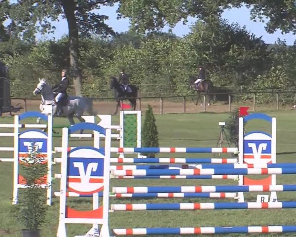 Reitturnier Großensee 2016