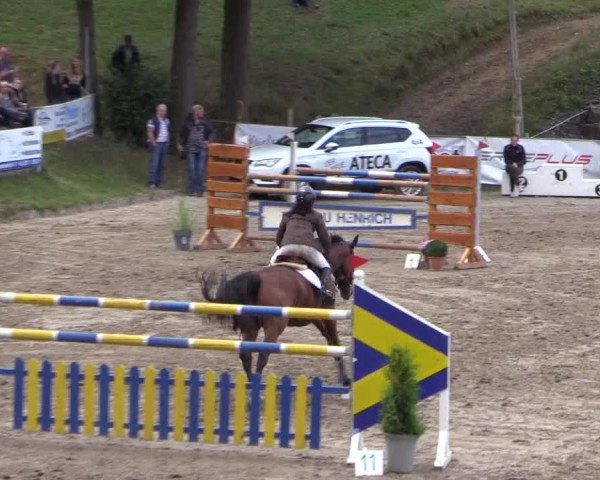 Reitturnier Siegen 2016