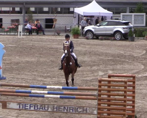 Reitturnier Siegen 2016