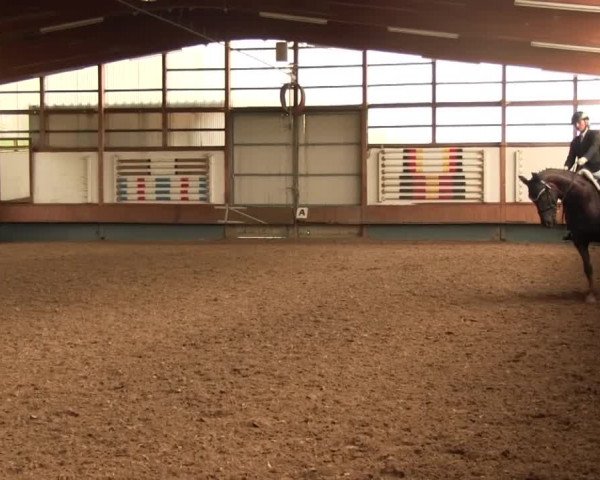 Reitturnier Meinerzhagen 2016