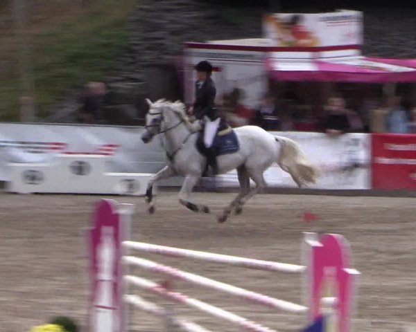 Reitturnier Siegen 2016
